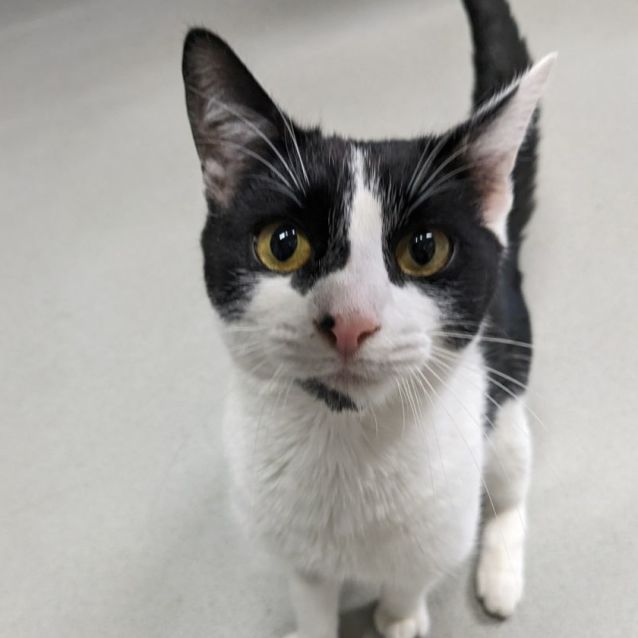 Photo of 🗝 Bilbo  5184🗝