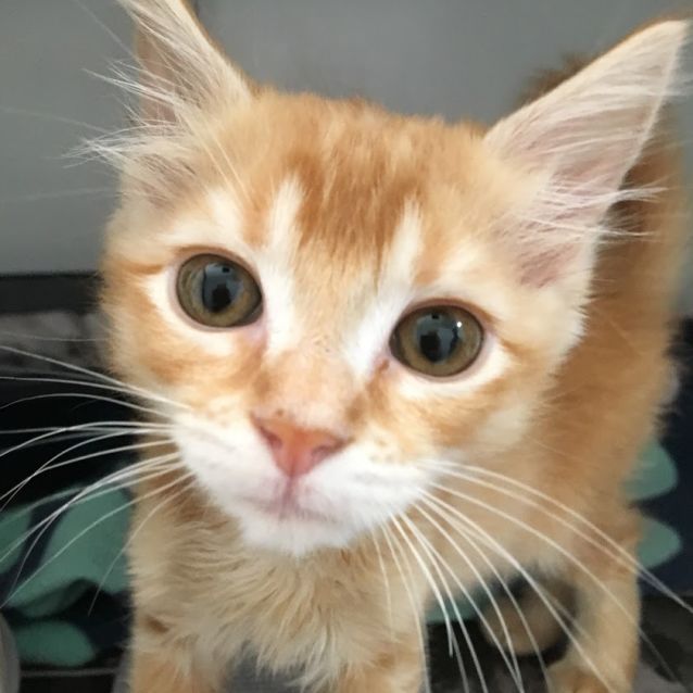 Photo of George