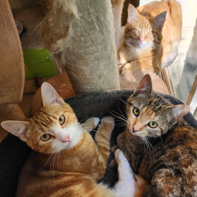 Photo of Tige & Timmy