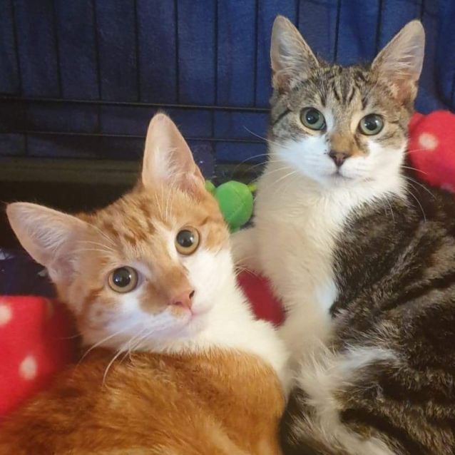 Photo of Winston And Florence ❤❤