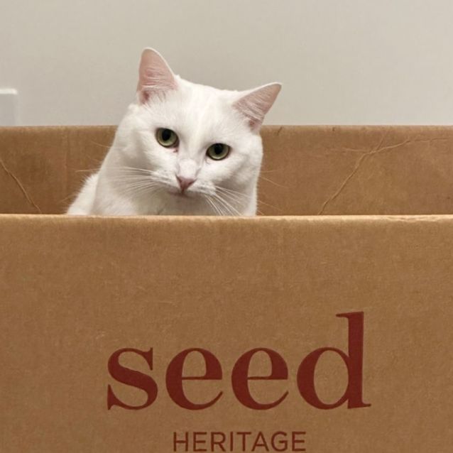 Photo of Cressy 🌸