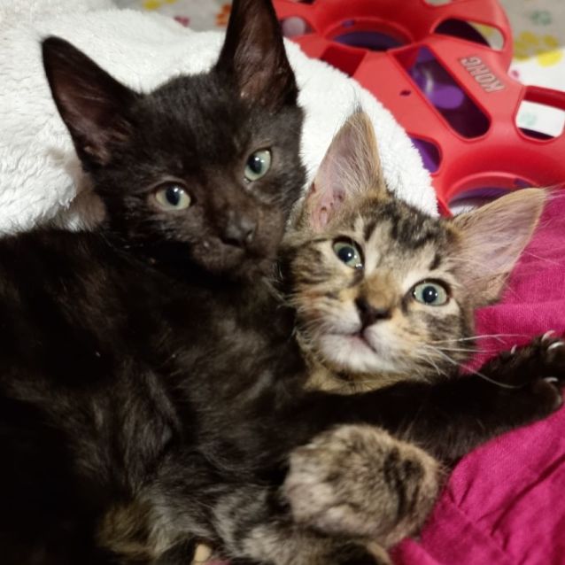 Photo of Oli & Estelle 