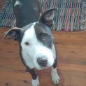 Photo of Cilla