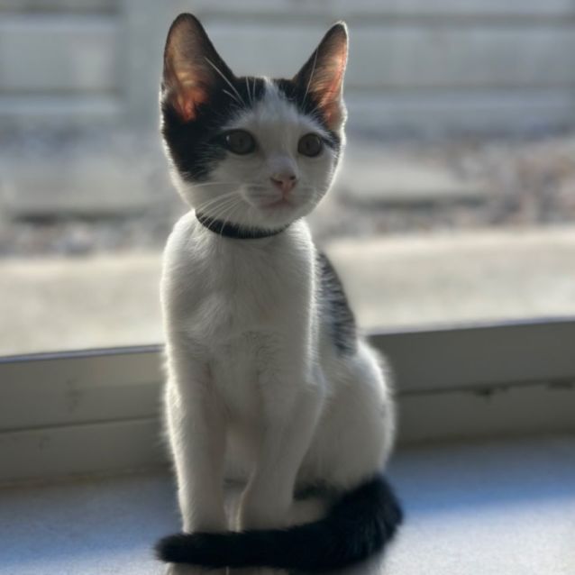 Photo of Pablo ❤️🐾