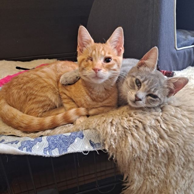 Photo of Mack & Georgie Girl