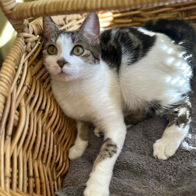Photo of Poki