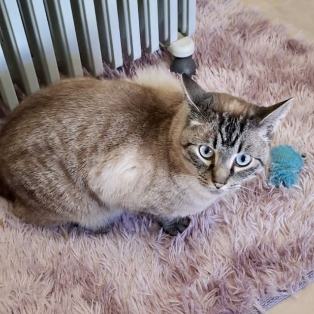Photo of Smudge