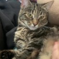 Photo of Annie