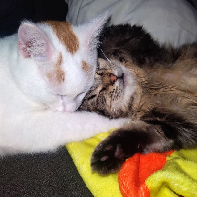 Photo of Harriet ✨