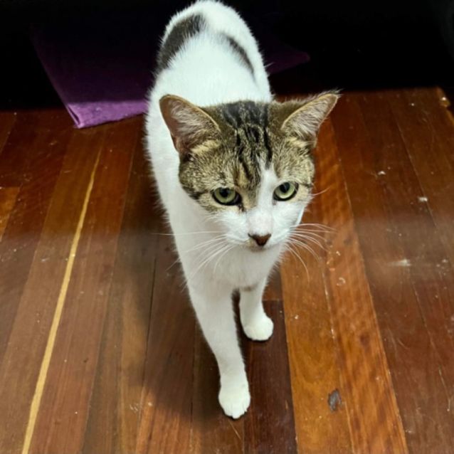 Photo of Coco 'Rita'