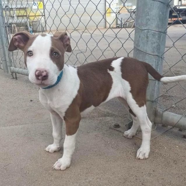 Photo of Princess Leia