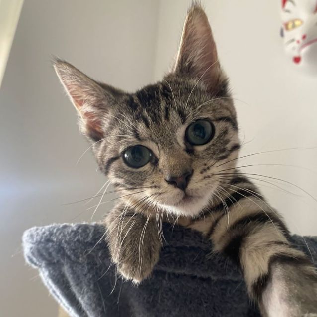 Photo of Mickey