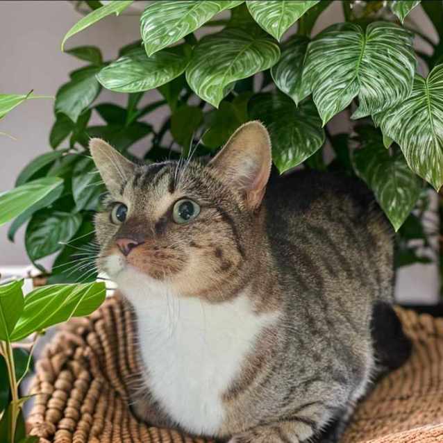 Photo of Lil Munchie 