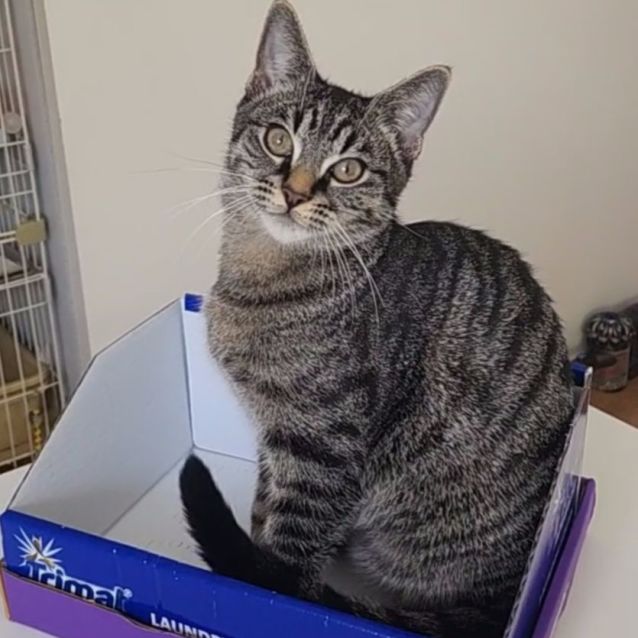 Photo of Humphrey B Bear 🐻 