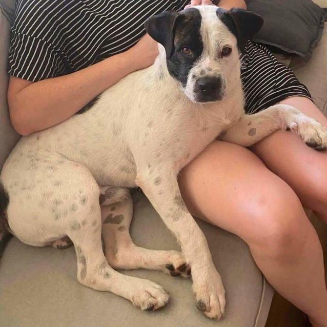 Photo of Vincent Crabbe