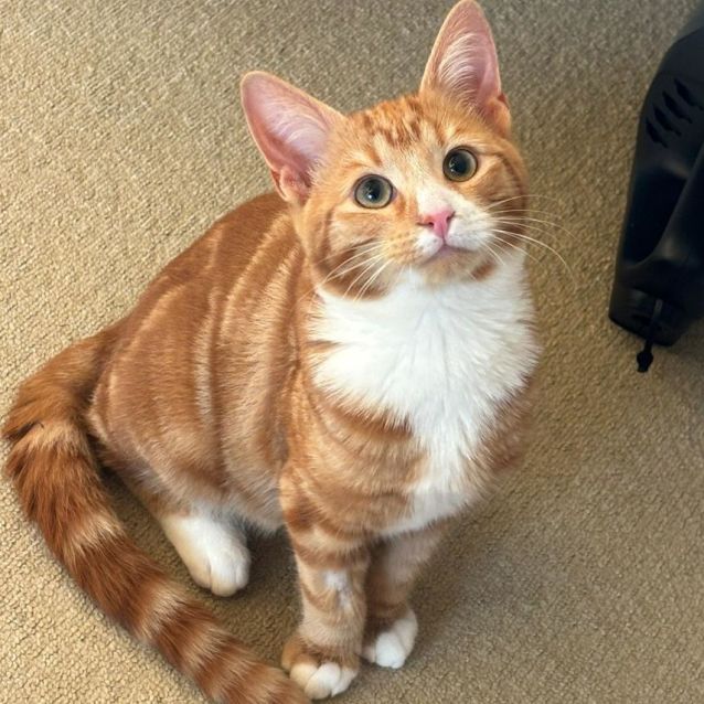 Photo of Bourbon