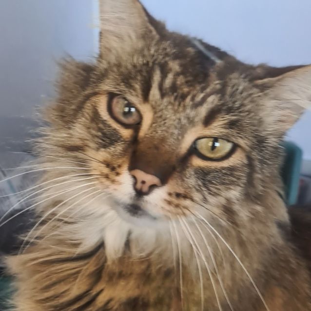 Photo of Lenny