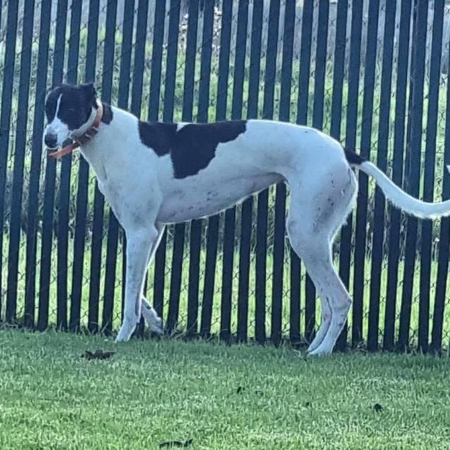 Photo of Bonnie & Cindy