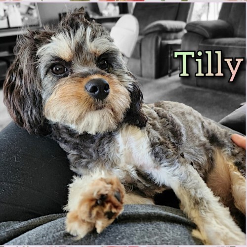 Tilly