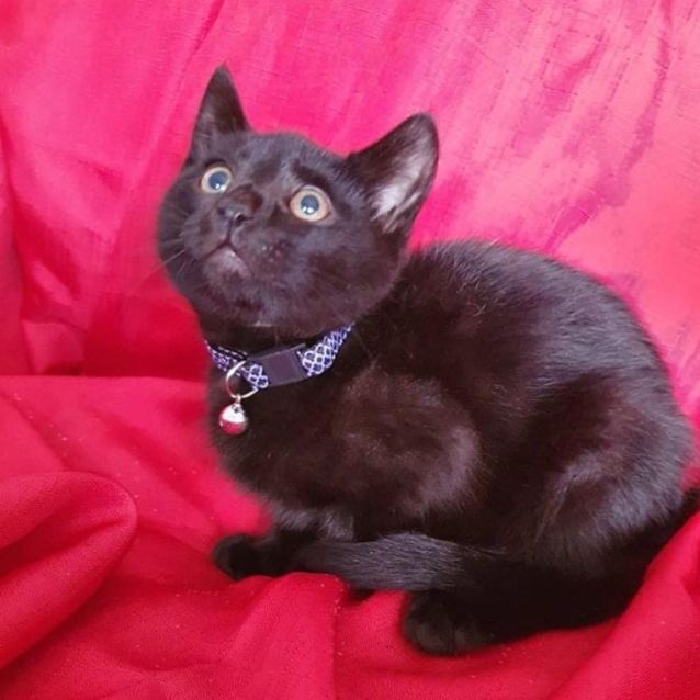 Photo of War Machine 