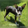Photo of Rhysand
