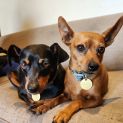 Photo of Circe & Feliz
