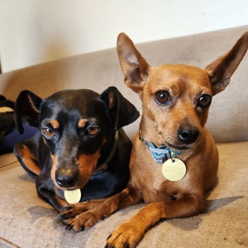 Circe & Feliz