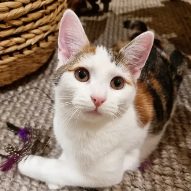Photo of Edith🌺🌺