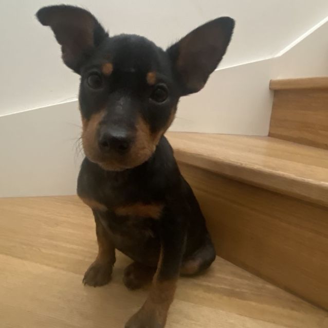 Photo of Minnie