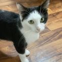 Photo of Rosie