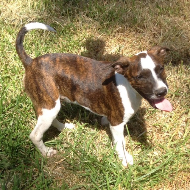 Photo of ♥ Bryan ♥ ~ Noble Prince