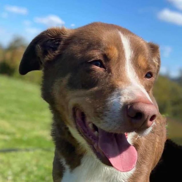 Photo of Sunny & Patty