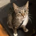 Photo of Phoenix