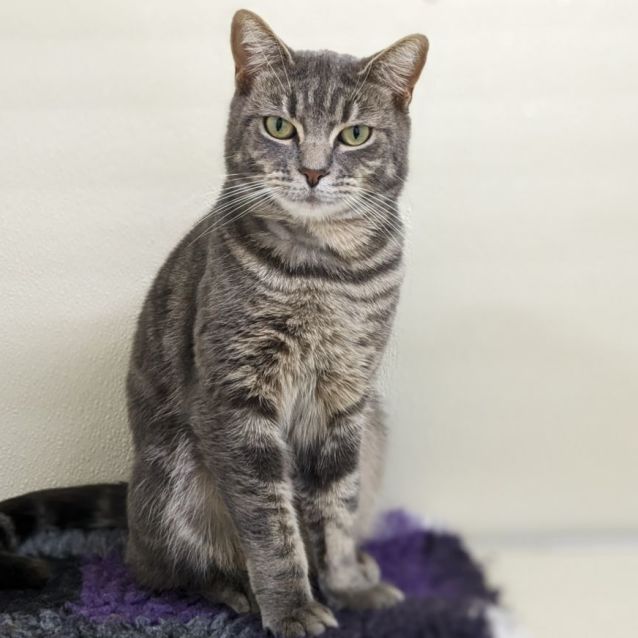 Photo of 🌺 Odette F02732 🌺