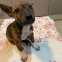 Photo of Sally