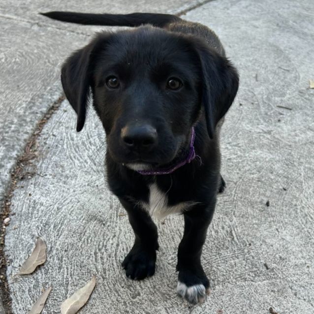 Photo of Lumos