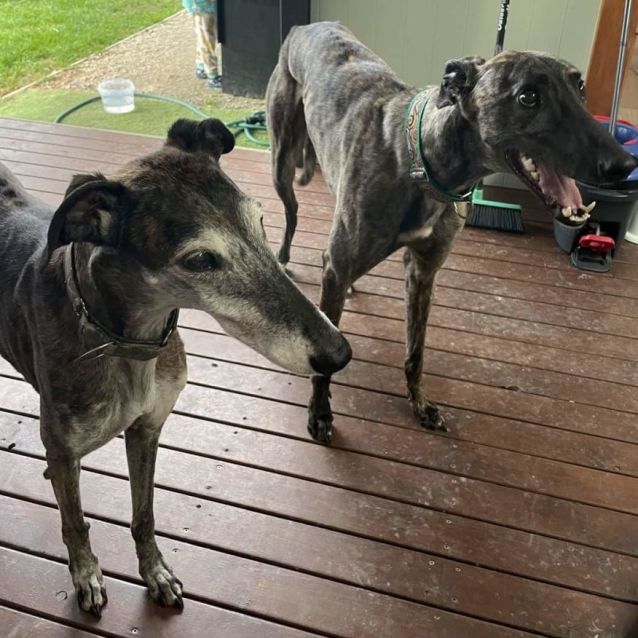 Photo of Brazilianite 