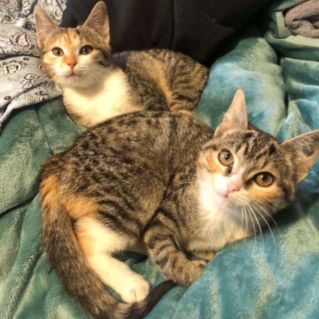 Photo of Niamh And Tallulah 