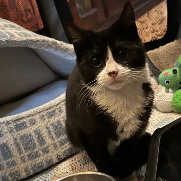 Photo of Fred