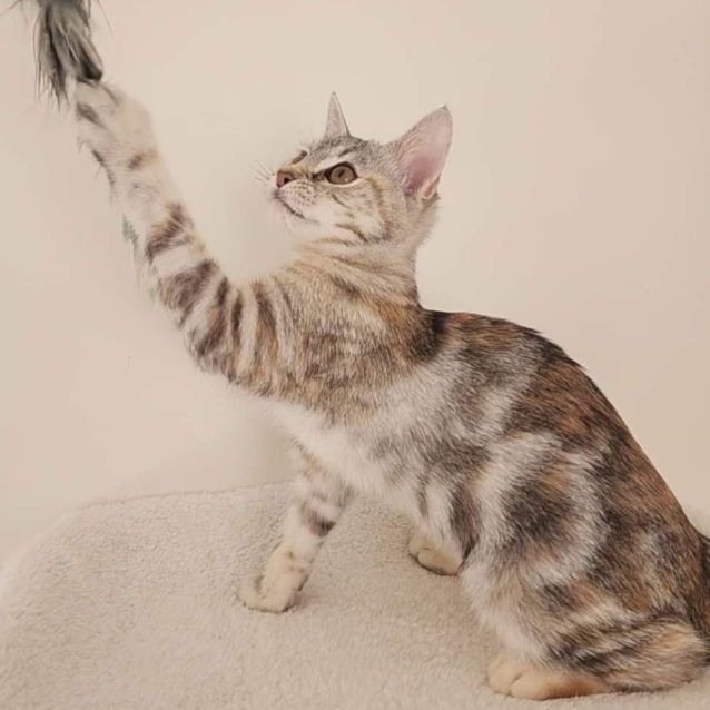 Photo of Hadley 🫶