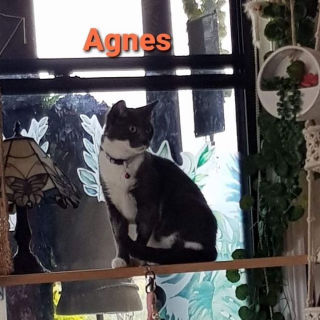 Photo of Agnes
