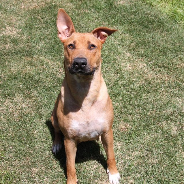 Photo of Missy 