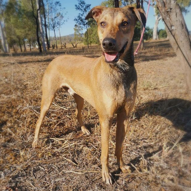 Photo of Casey