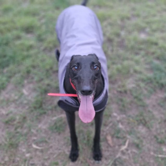 Photo of April