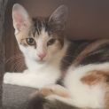 Photo of Crystal