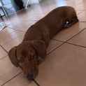 Photo of Raffy