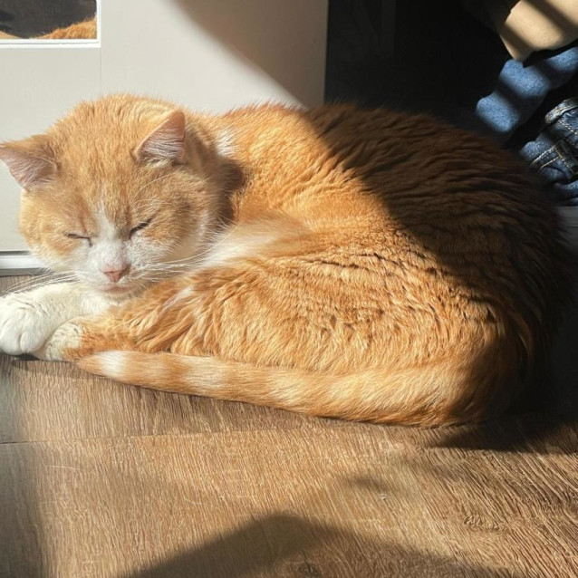 Photo of Parker