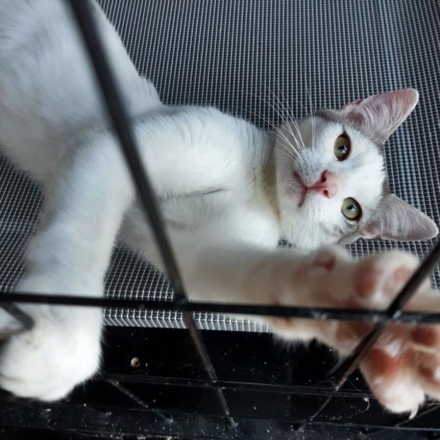 Photo of Percy