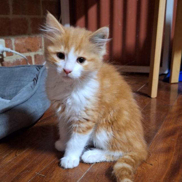 Photo of Bobby