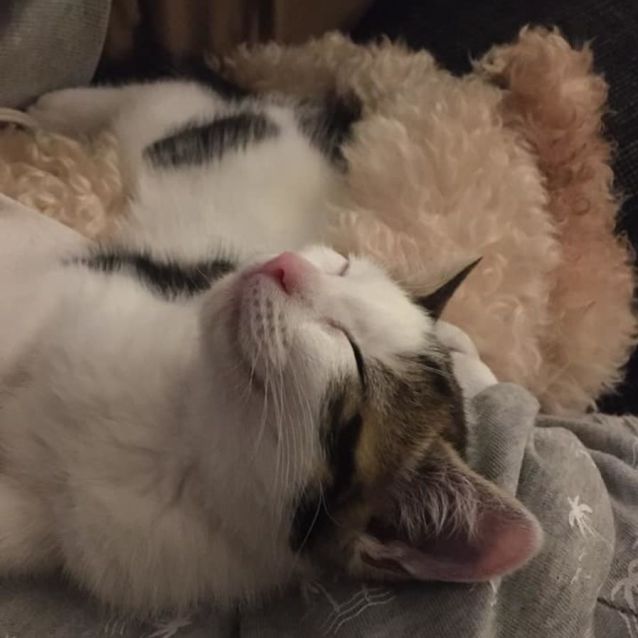 Photo of Bonnie 